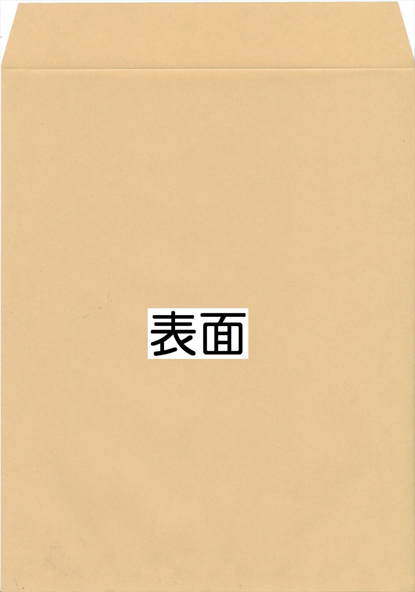 p5(p`5) ĕ()~20 70g / A5(DVD1)