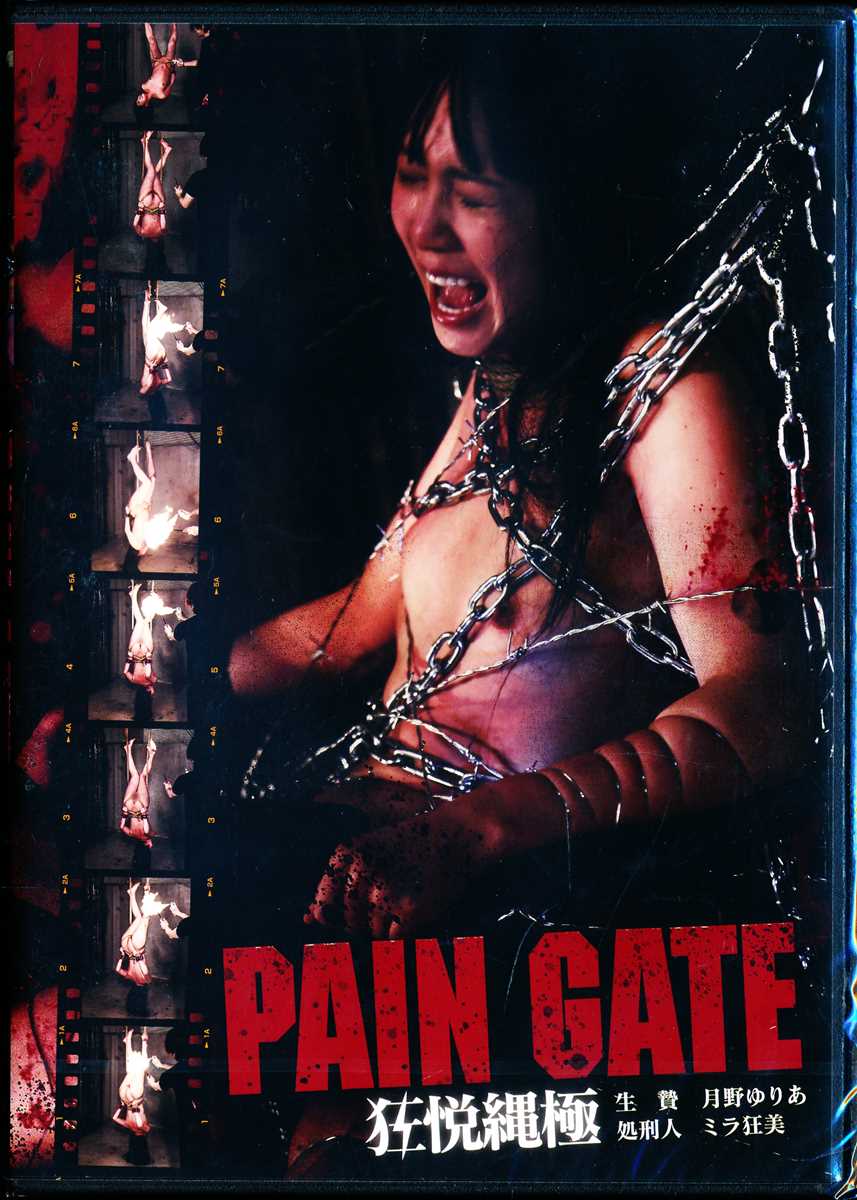PAIN GATE x