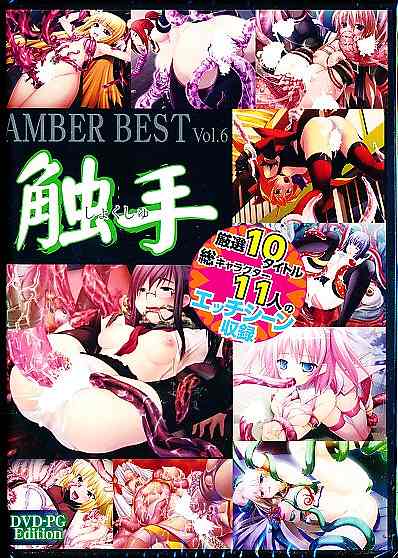 AMBER BEST Vol.6 (DVDPG)