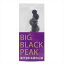 BIG BLACK PEAK(ޯׯ߰)